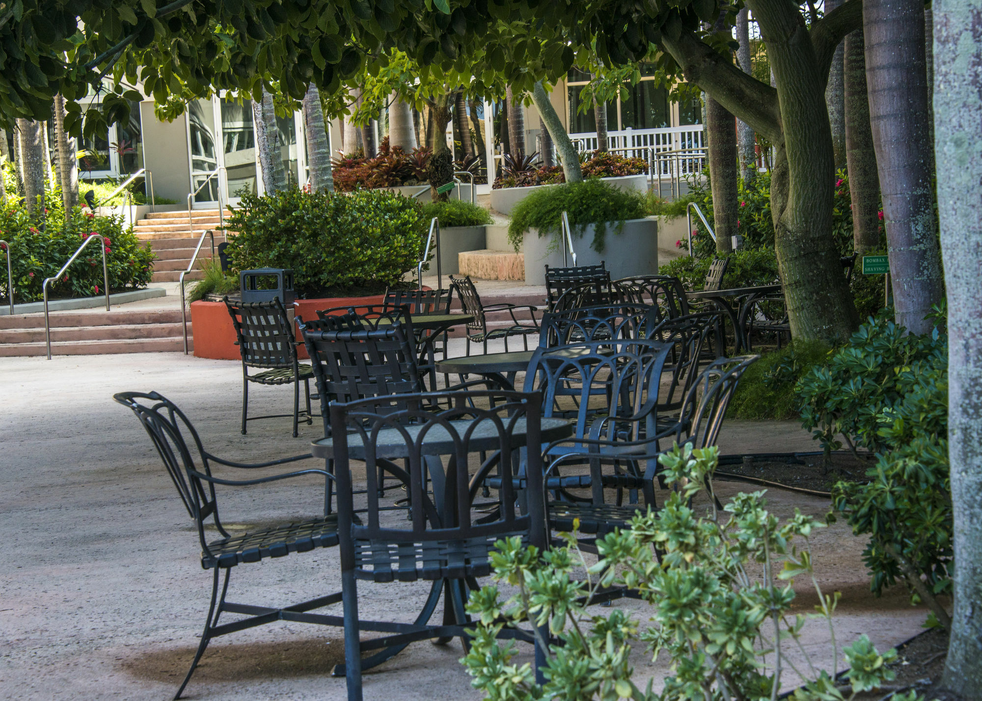 Готель Aquarius Vacation Club At Dorado Del Mar Екстер'єр фото
